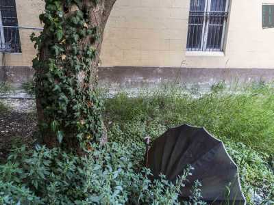 Ci affacciamo tra le inferriate e quello che vediamo � un giardino dalla vegetazione incolta costellato di ombrelli...
